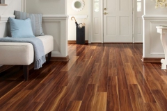 Laminate-floor-entryway